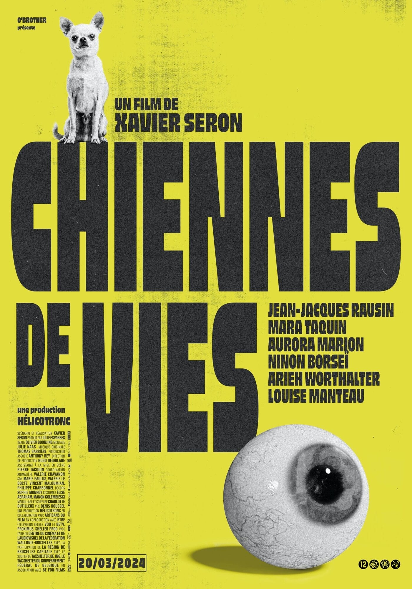 Chiennes de vies, un film de Xavier Seron